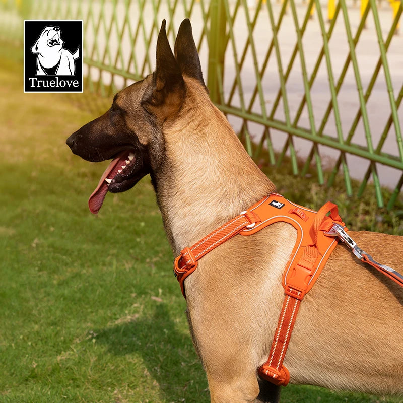 Dog Harness - Reflective Nylon Pet Harness with Adjustable Fit