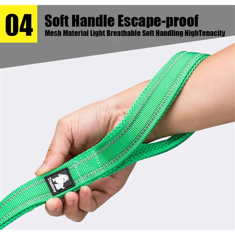 Reflective Dog Leash - Soft Padded Nylon Training Lead for Small to Large Dogs