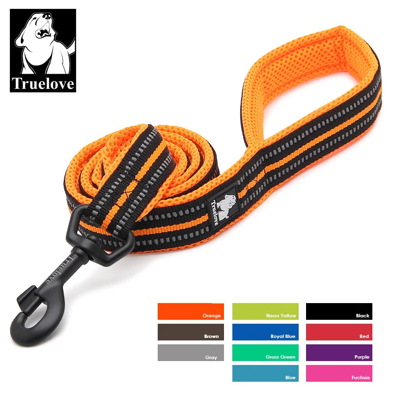 Reflective Dog Leash - Soft Padded Nylon Training Lead for Small to Large Dogs
