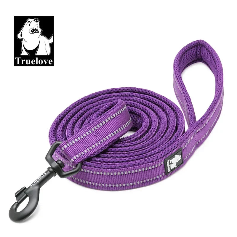Reflective Dog Leash - Soft Padded Nylon Training Lead for Small to Large Dogs