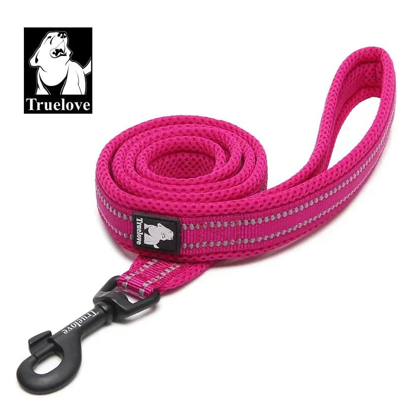 Reflective Dog Leash - Soft Padded Nylon Training Lead for Small to Large Dogs