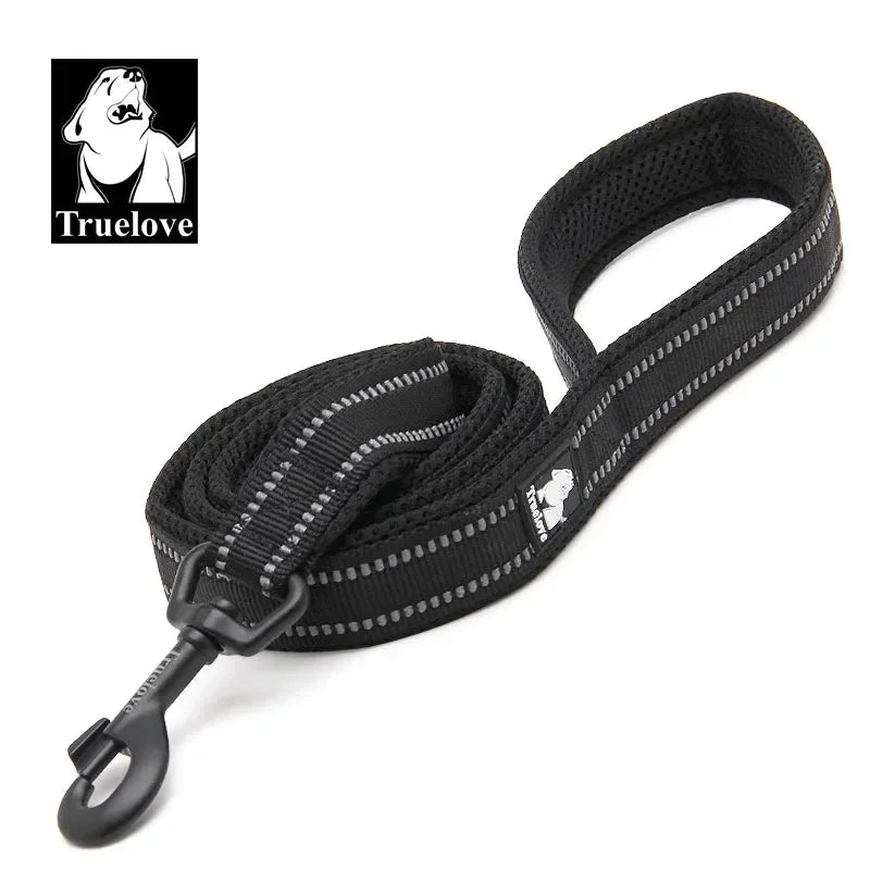 Reflective Dog Leash - Soft Padded Nylon Training Lead for Small to Large Dogs