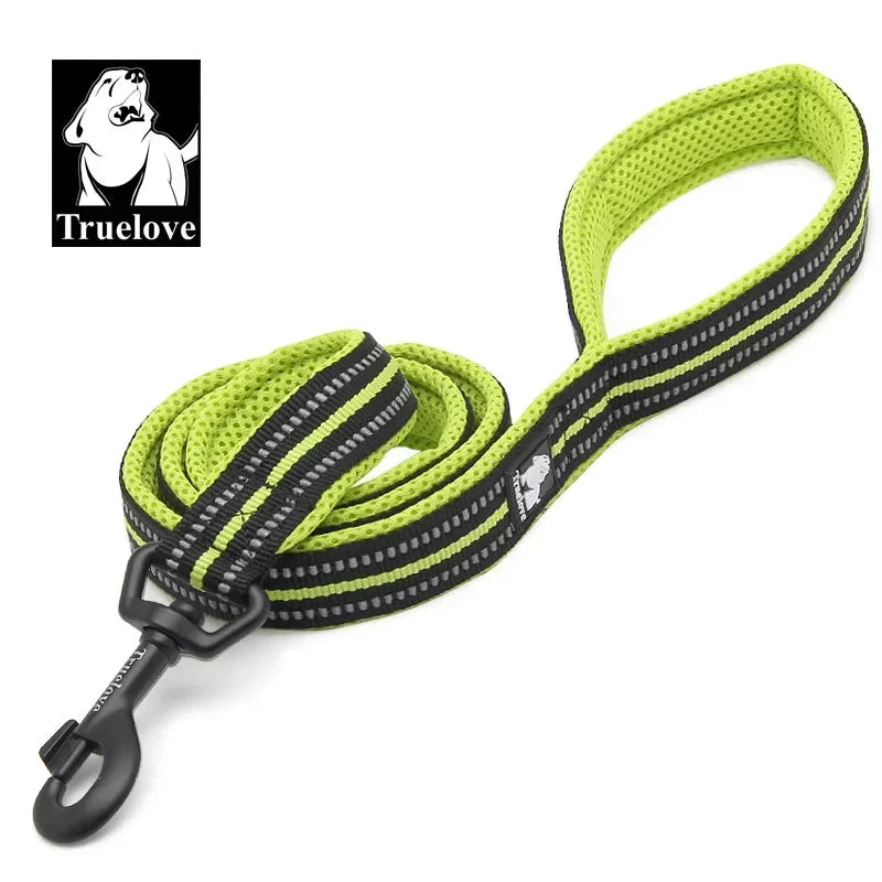Reflective Dog Leash - Soft Padded Nylon Training Lead for Small to Large Dogs