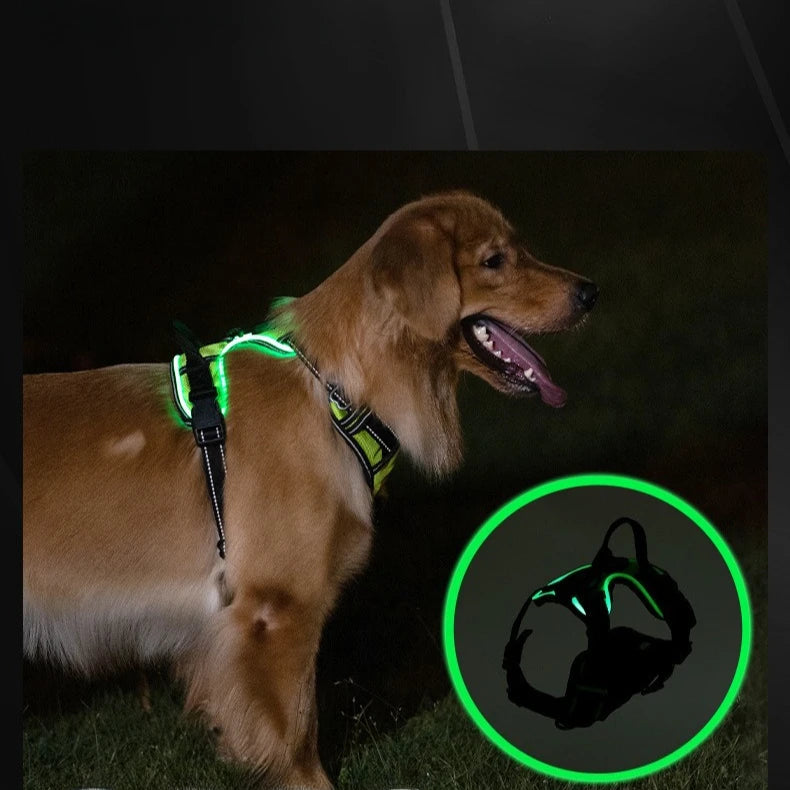 LED Rechargeable Dog Harness - Glowing Safety Vest for Night Walking