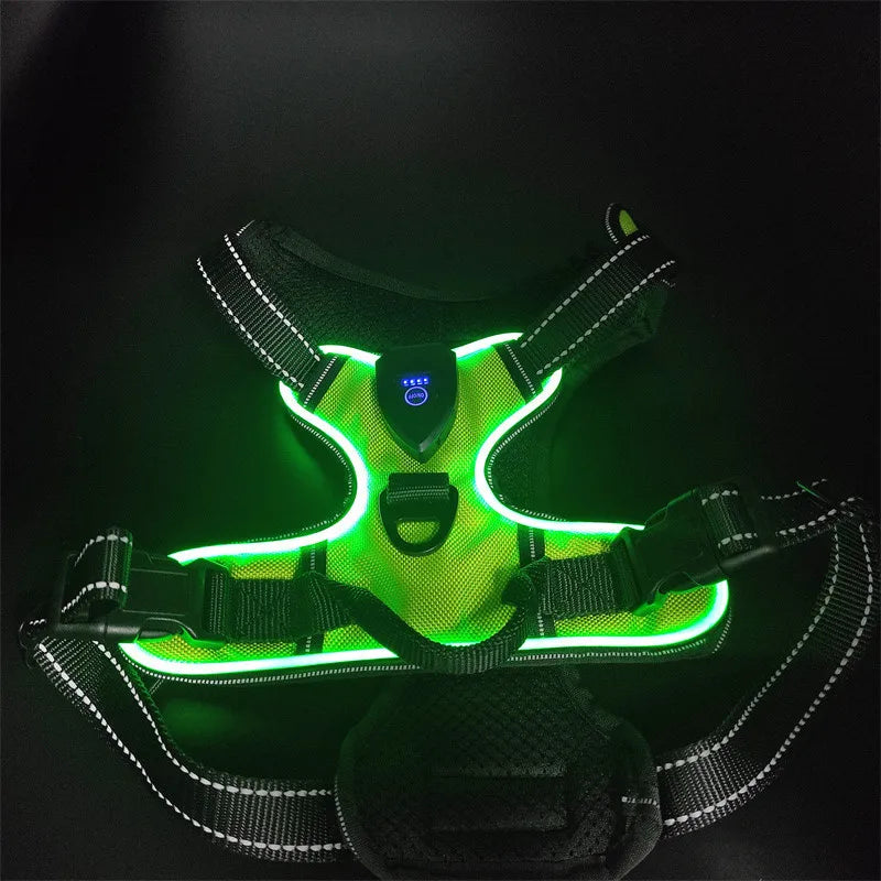 LED Rechargeable Dog Harness - Glowing Safety Vest for Night Walking