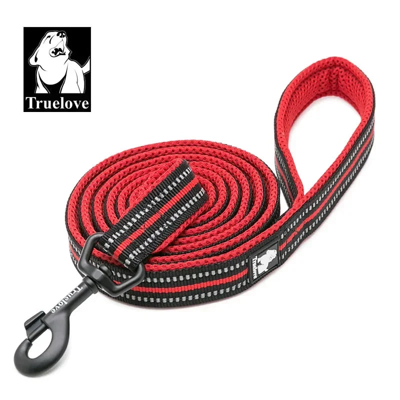 Reflective Dog Leash - Soft Padded Nylon Training Lead for Small to Large Dogs