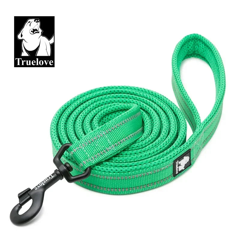 Reflective Dog Leash - Soft Padded Nylon Training Lead for Small to Large Dogs