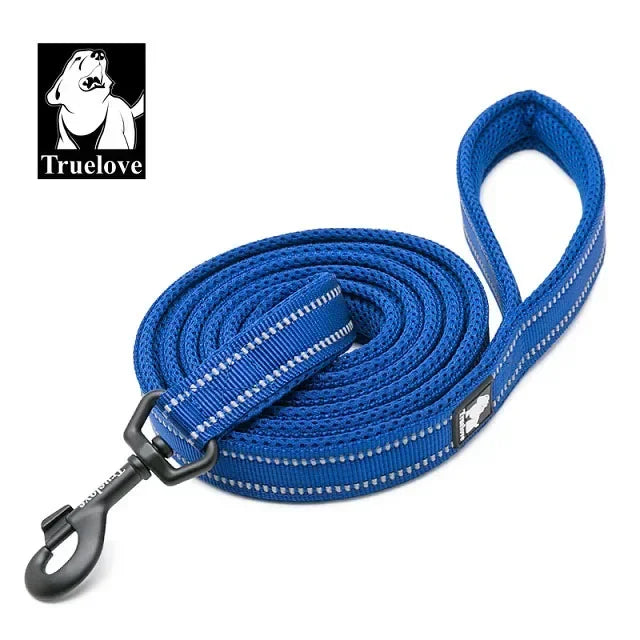 Reflective Dog Leash - Soft Padded Nylon Training Lead for Small to Large Dogs