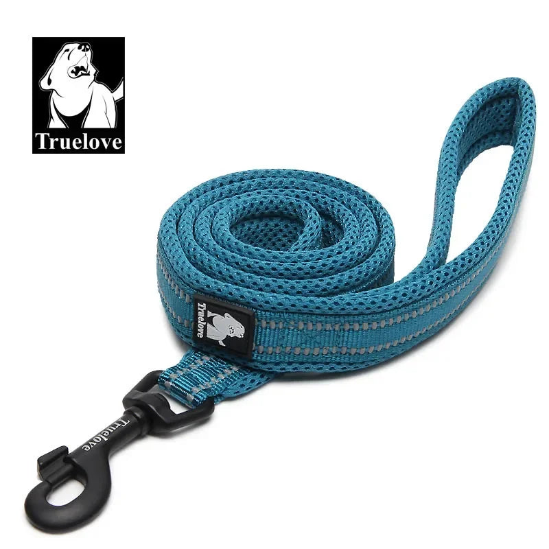 Reflective Dog Leash - Soft Padded Nylon Training Lead for Small to Large Dogs