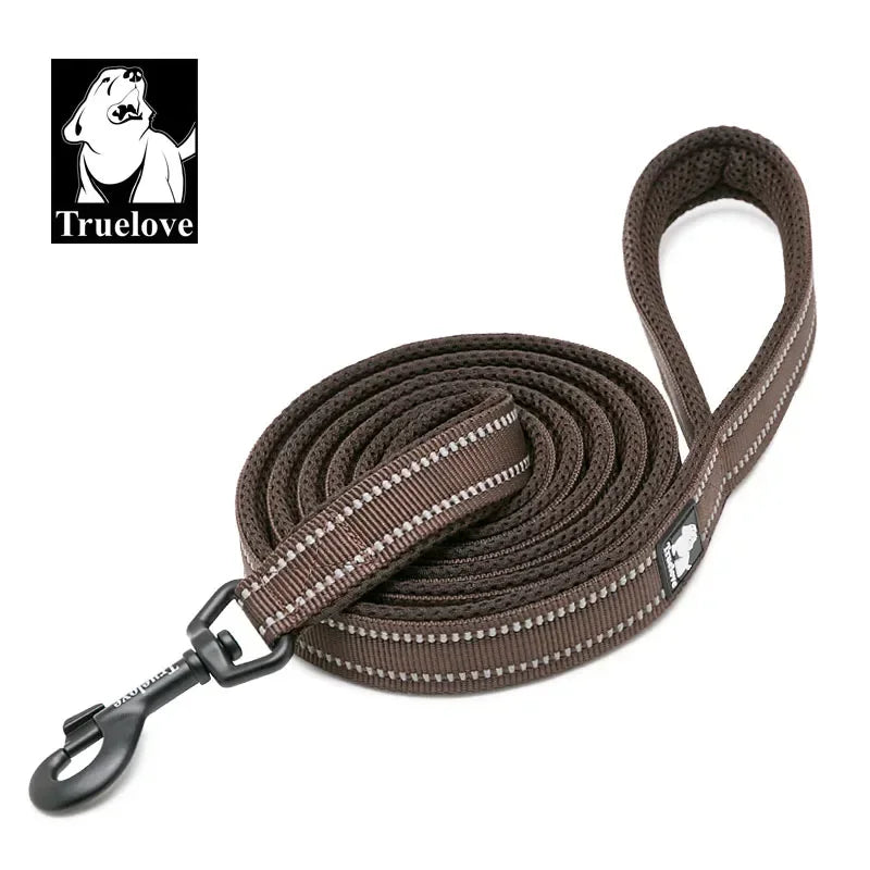 Reflective Dog Leash - Soft Padded Nylon Training Lead for Small to Large Dogs