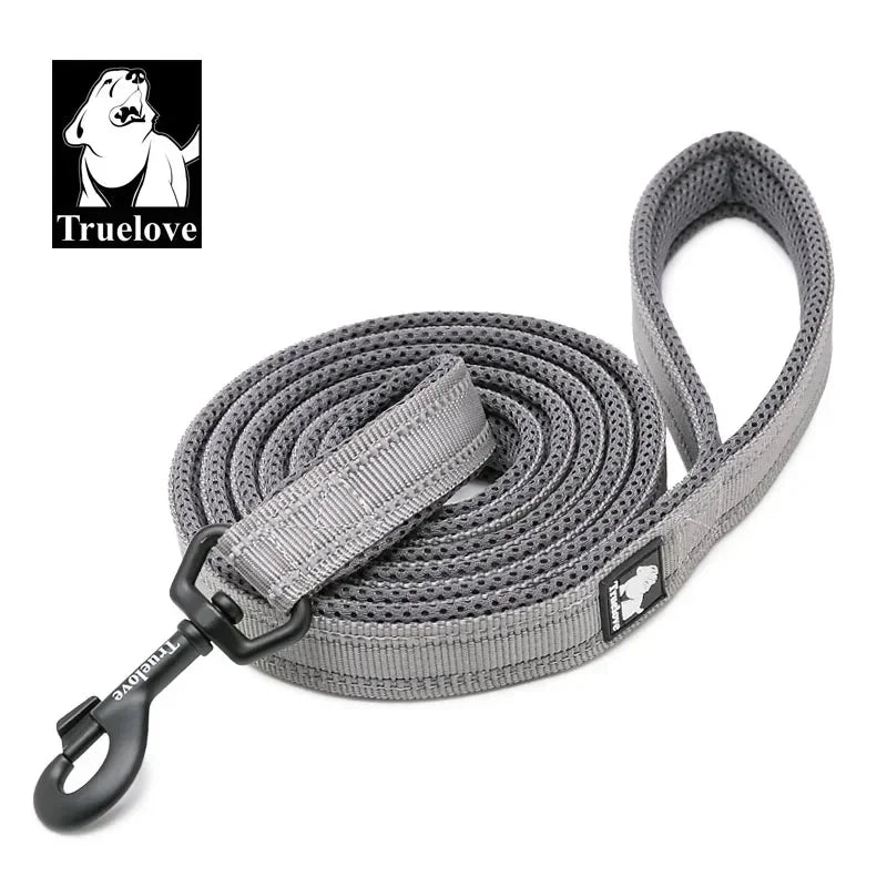Reflective Dog Leash - Soft Padded Nylon Training Lead for Small to Large Dogs