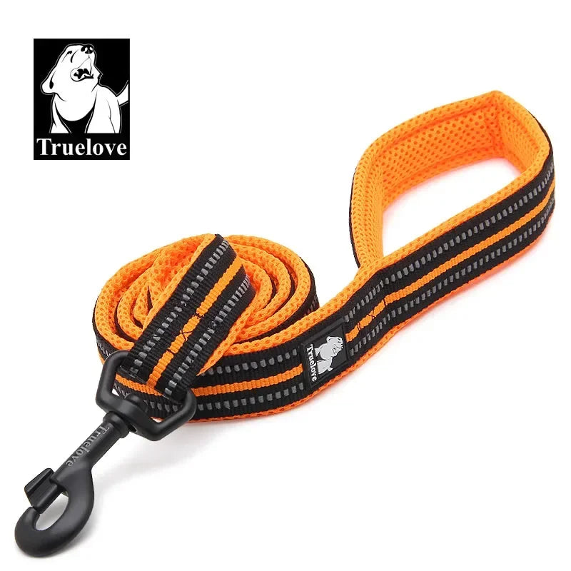 Reflective Dog Leash - Soft Padded Nylon Training Lead for Small to Large Dogs
